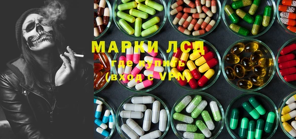 PSILOCYBIN Медвежьегорск