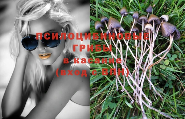 круглые Михайловск