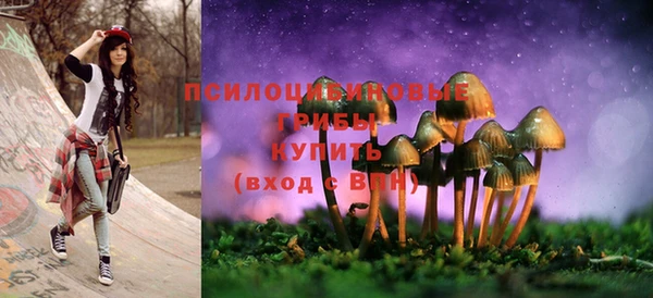 крисы Володарск