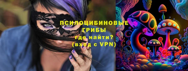 Альфа ПВП Сосновый Бор